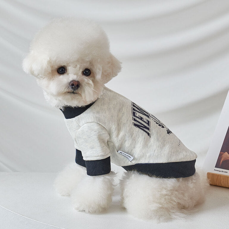 韓國新品上架【梨花娘】🐾BAILEY 🐶秋冬新品 韓系潮流聯名休閒棉質寵物服飾(3色)