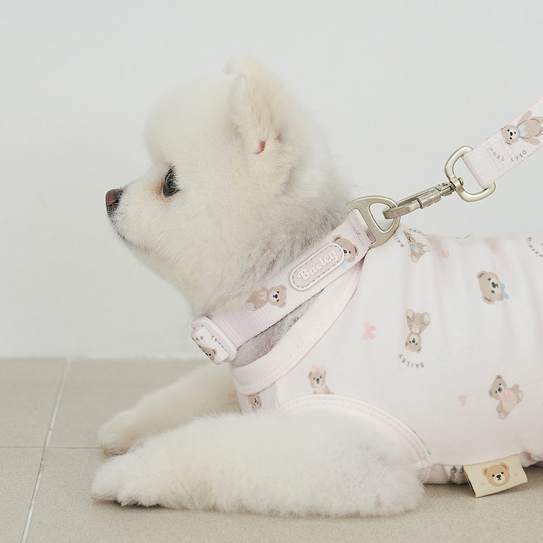 韓國新品上架【梨花娘】🐾BAILEY 🐶秋冬新品 馬卡龍柔軟色系小熊圖案簡易款寵物牽繩(3色)