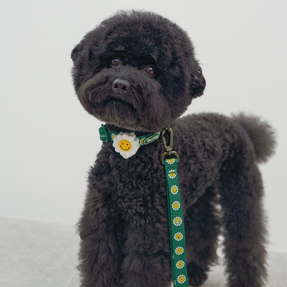 韓國新品上架【梨花娘】🐾BAILEY 🐶秋冬新品 飽合亮色花朵微笑寵物牽繩(4色)