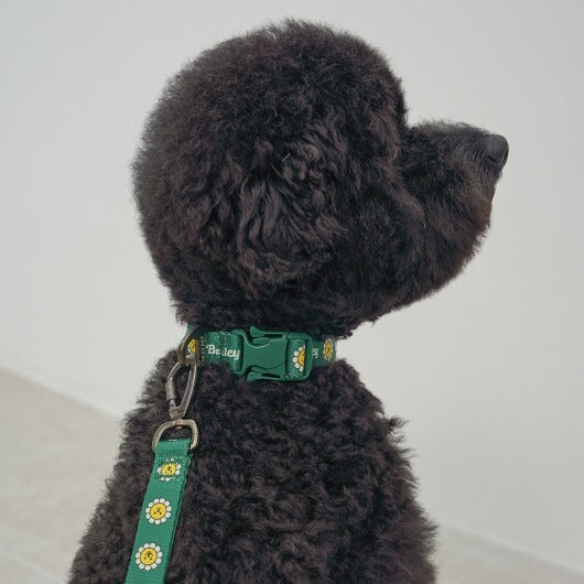 韓國新品上架【梨花娘】🐾BAILEY 🐶秋冬新品 飽合亮色花朵微笑簡易款寵物牽繩(4色)