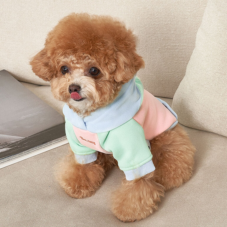 韓國新品上架【梨花娘】🐾BAILEY 🐶秋冬新品 繽紛馬卡龍拼接網球保暖親膚連帽寵物服飾