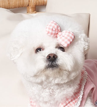 韓國新品上架【梨花娘】🐾BAILEY 🐶韓系甜美可愛蝴蝶結鍛帶寵物髮夾(7色)