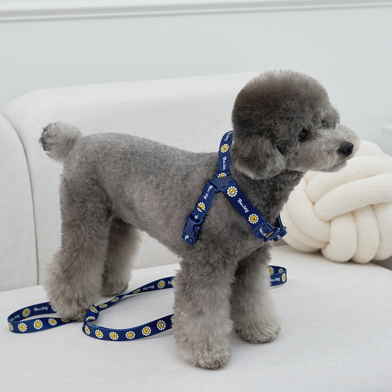 韓國新品上架【梨花娘】🐾BAILEY 🐶秋冬新品 飽合亮色花朵微笑寵物牽繩(4色)