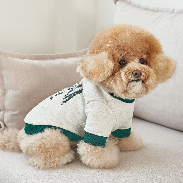 韓國新品上架【梨花娘】🐾BAILEY 🐶秋冬新品 韓系潮流聯名休閒棉質寵物服飾(3色)