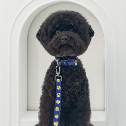 韓國新品上架【梨花娘】🐾BAILEY 🐶秋冬新品 飽合亮色花朵微笑簡易款寵物牽繩(4色)