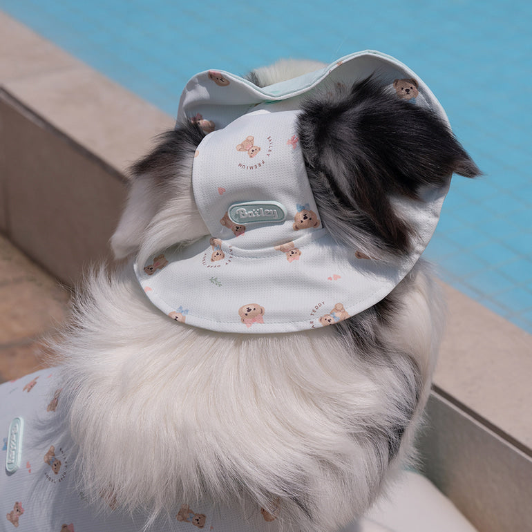 韓國新品上架【梨花娘】🐾BAILEY 🐶秋冬新品 可愛造型遮陽透氣滿版小熊可調節寵物帽(3色)