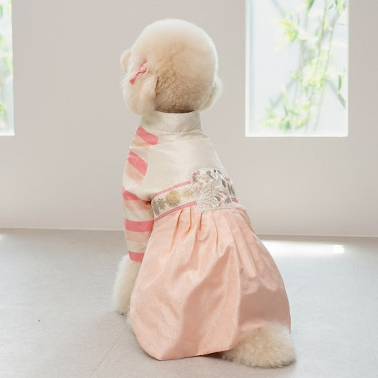 韓國新品上架【梨花娘】🐾BAILEY 🐶秋冬新品 皇室尊貴刺繡流蘇寵物韓服(4色)