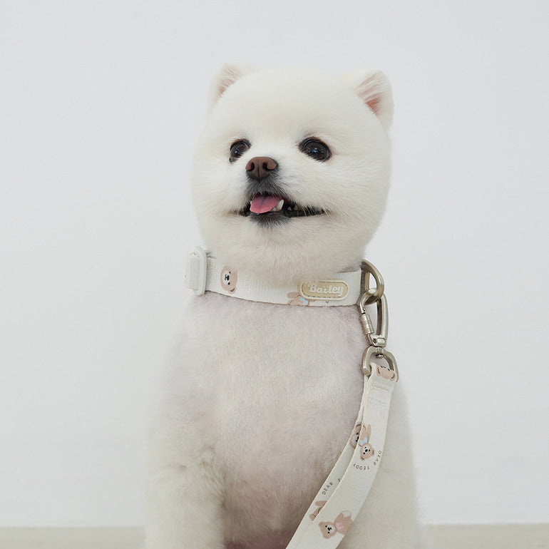 韓國新品上架【梨花娘】🐾BAILEY 🐶秋冬新品 馬卡龍柔軟色系小熊圖案簡易款寵物牽繩(3色)