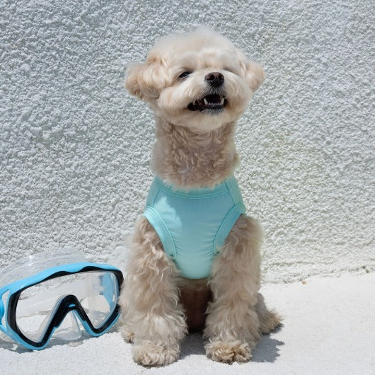 韓國BAILEY💖【梨花娘】夏日必備菌菌掰掰輕薄快乾透氣水陸兩用寵物衣(帽子可另購3色)