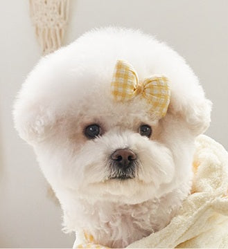 韓國新品上架【梨花娘】🐾BAILEY 🐶韓系甜美可愛蝴蝶結鍛帶寵物髮夾(7色)