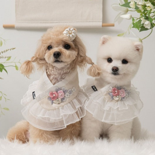 【梨花娘】🐶 韓國BAILEY💖寵物品牌精緻婚紗夢幻領巾(現貨+預購)