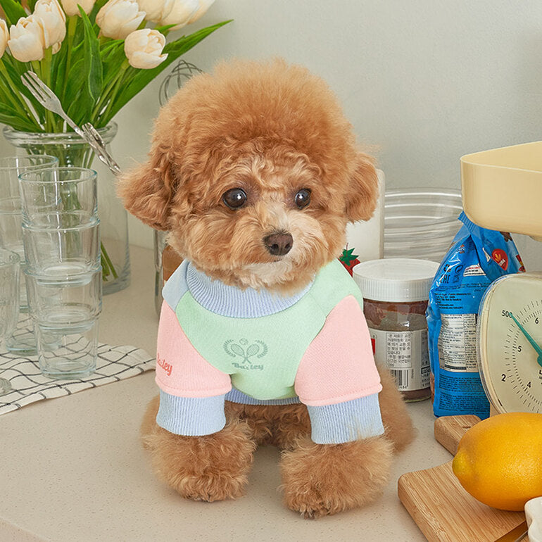 韓國新品上架【梨花娘】🐾BAILEY 🐶秋冬新品 韓系繽紛馬卡龍拼接網球保暖親膚連身衣