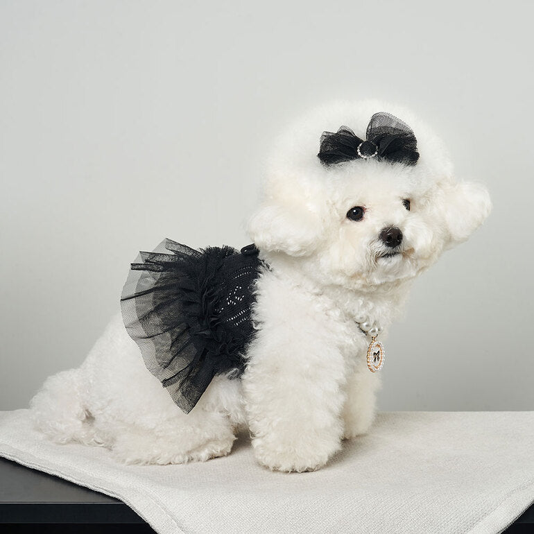 韓國新品上架【梨花娘】🐾BAILEY 🐶秋冬新品 針織拼接蕾絲氣質優雅花朵芭蕾舞裙寵物服飾(2色)