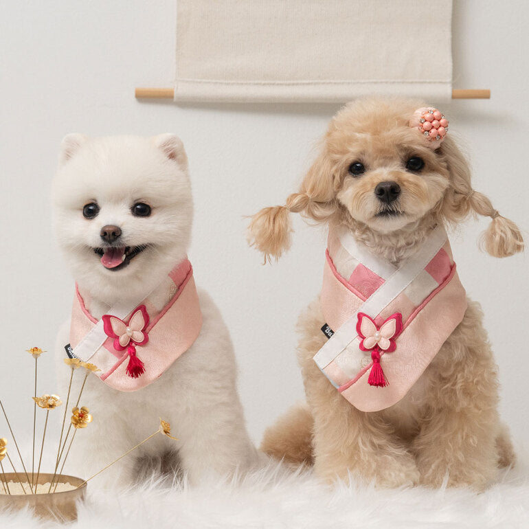 韓國新品上架【梨花娘】🐾BAILEY 🐶秋冬新品 韓國皇室蝴蝶流蘇精緻韓服領巾(4色)