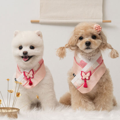 韓國新品上架【梨花娘】🐾BAILEY 🐶秋冬新品 韓國皇室蝴蝶流蘇精緻韓服領巾(4色)