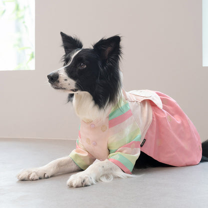 韓國新品上架【梨花娘】🐾BAILEY 🐶秋冬新品 皇室公主刺繡百褶裙寵物韓服(2色)