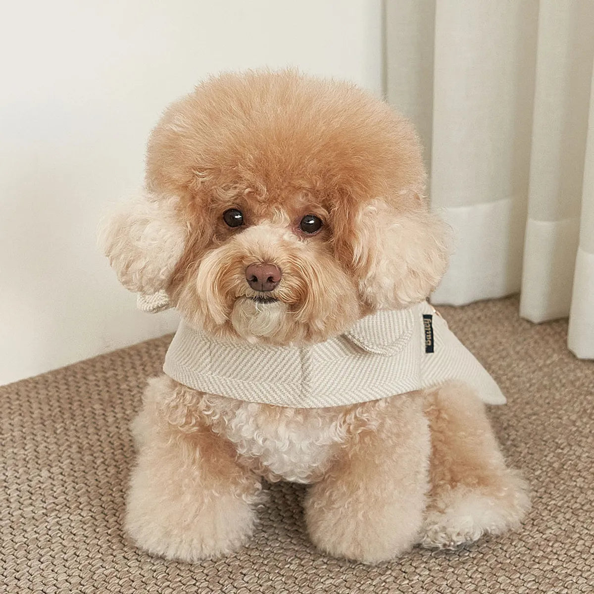 韓國BAILEY💖【梨花娘】秋冬新品上架 英倫風翻領人字紋口袋寵物大衣(2色)