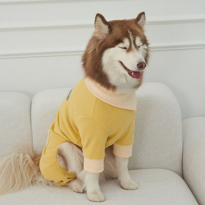 韓國新品上架【梨花娘】🐾BAILEY 🐶秋冬新品 領口釦環設計一件式保暖細絨毛衣(3色)