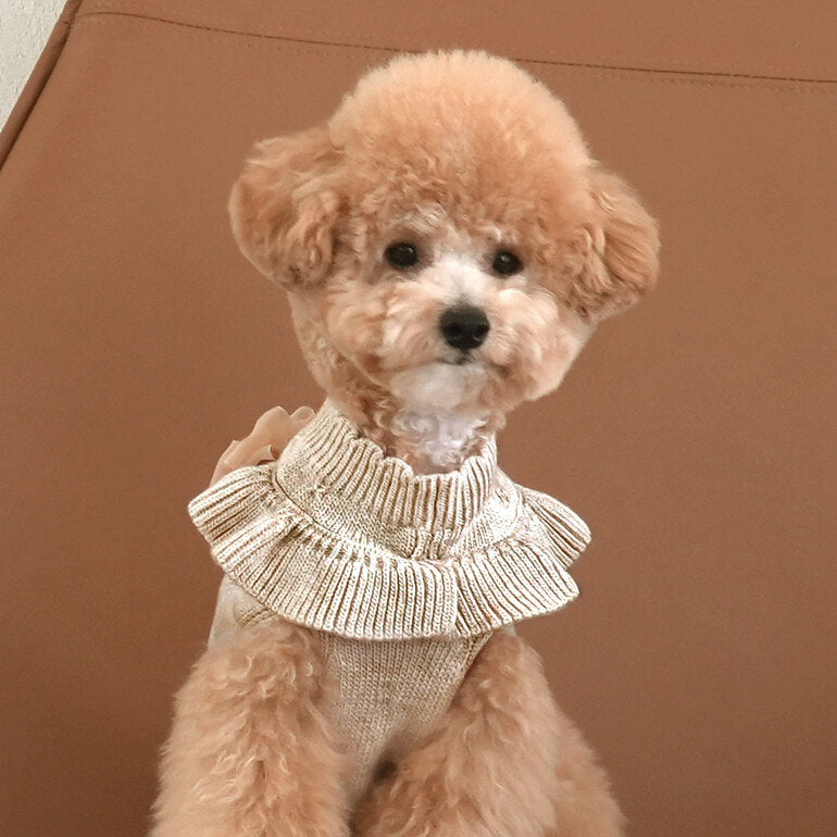 韓國新品上架【梨花娘】🐾BAILEY 🐶秋冬新品 柔軟蝴蝶荷葉邊高領針織寵物服飾(3色)