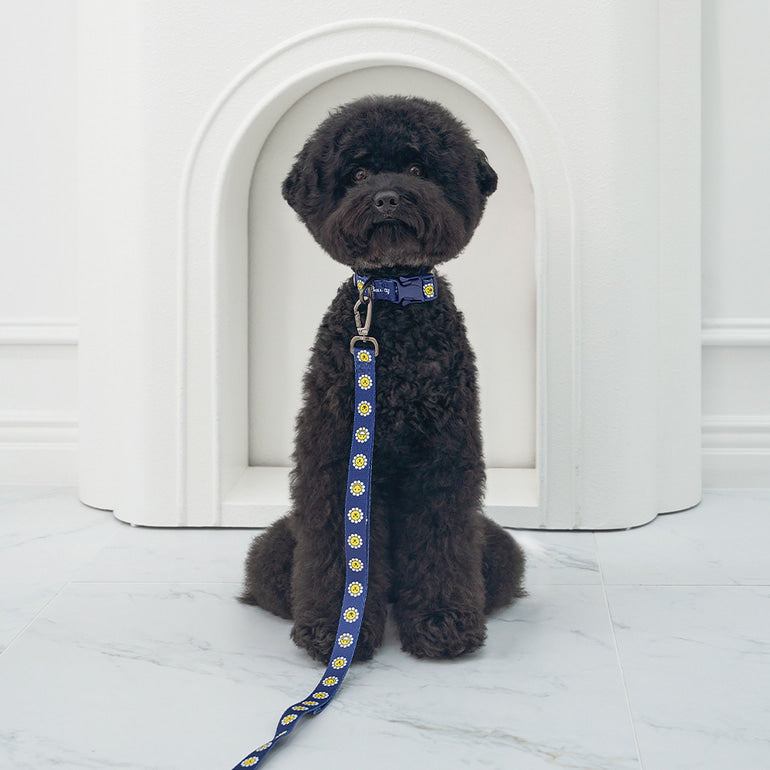 韓國新品上架【梨花娘】🐾BAILEY 🐶秋冬新品 飽合亮色花朵微笑寵物牽繩(4色)