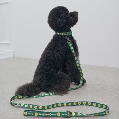 韓國新品上架【梨花娘】🐾BAILEY 🐶秋冬新品 飽合亮色花朵微笑寵物牽繩(4色)