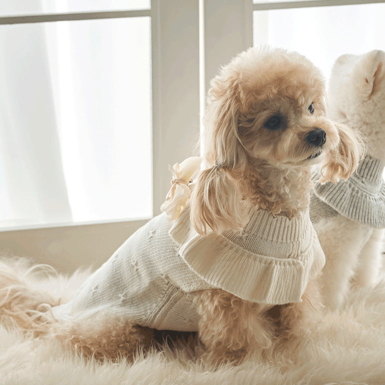 韓國新品上架【梨花娘】🐾BAILEY 🐶秋冬新品 柔軟蝴蝶荷葉邊高領針織寵物服飾(3色)