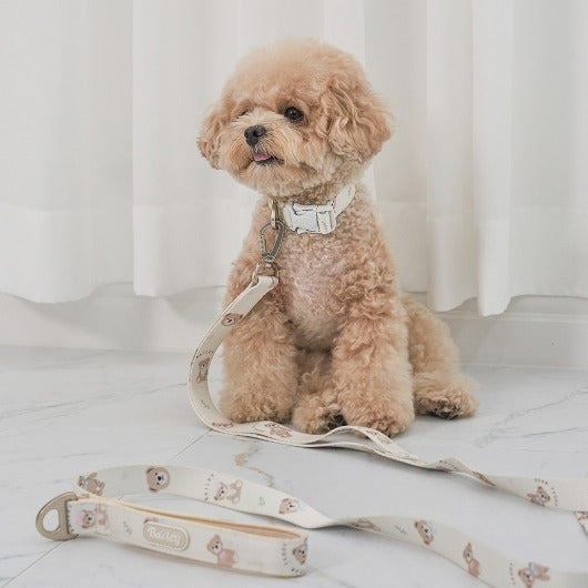 韓國新品上架【梨花娘】🐾BAILEY 🐶秋冬新品 馬卡龍柔軟色系小熊圖案寵物牽繩(3色)