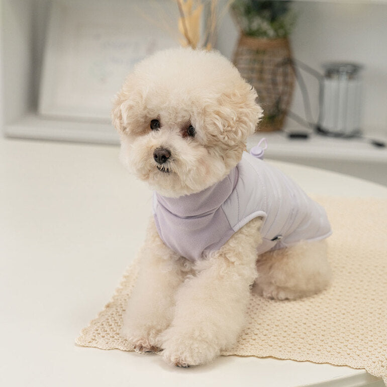 韓國新品上架【梨花娘】🐾BAILEY 🐶秋冬新品 柔軟菌菌拜拜內襯防潑水高領設計保暖寵物服飾(3色)