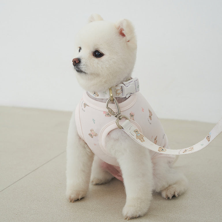 韓國新品上架【梨花娘】🐾BAILEY 🐶秋冬新品 馬卡龍柔軟色系小熊圖案簡易款寵物牽繩(3色)