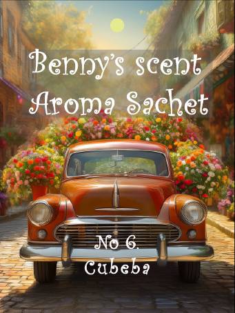 💜新品上架【梨花娘】🫧韓國PUMBLEPET天然植萃🌿韓國專業國際調香師衣櫥車用臥室歐洲油畫藝術卡+香氛袋一盒2入(20g)