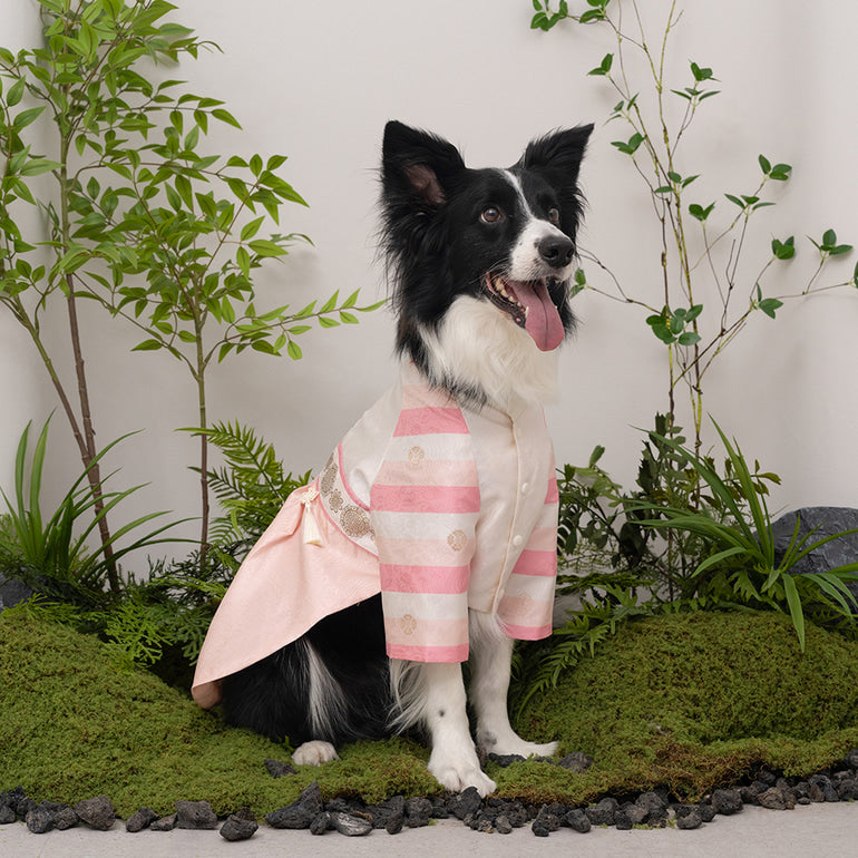 韓國新品上架【梨花娘】🐾BAILEY 🐶秋冬新品 皇室尊貴刺繡流蘇寵物韓服(4色)