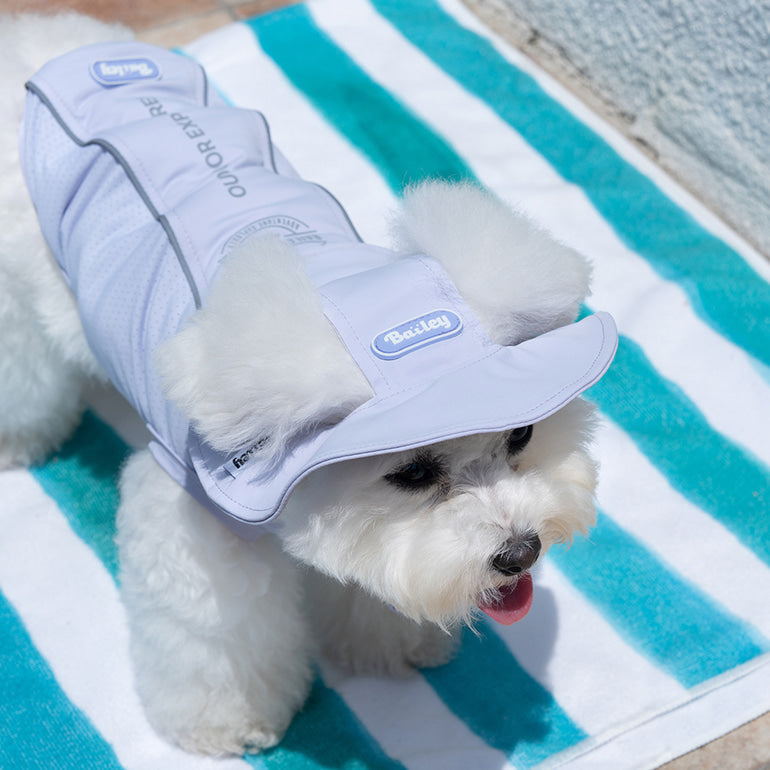 韓國BAILEY💖【梨花娘】夏日必備菌菌掰掰輕薄快乾透氣水陸兩用寵物衣(帽子可另購3色)