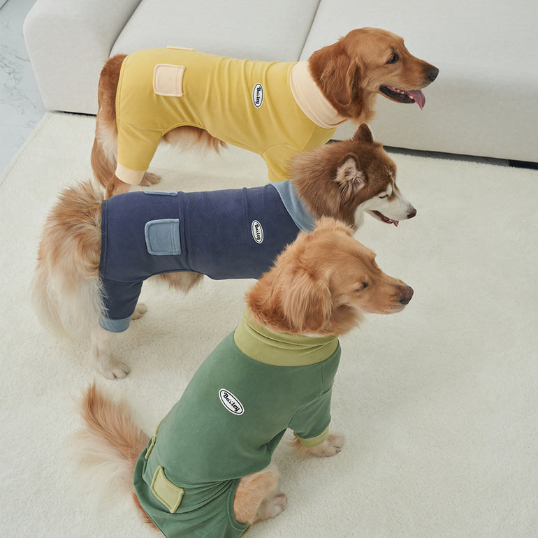 韓國新品上架【梨花娘】🐾BAILEY 🐶秋冬新品 領口釦環設計一件式保暖細絨毛衣(3色)