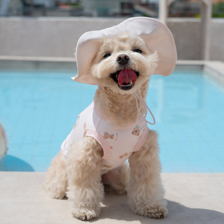 韓國BAILEY💖【梨花娘】夏日必備遠離菌菌輕薄快乾透氣水陸兩用滿版小熊寵物衣(帽子可另購3色)