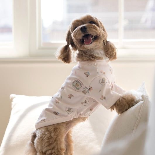 韓國新品上架【梨花娘】🐾BAILEY 🐶秋冬新品 滿版小熊圖案舒適寵物連身衣(3色)