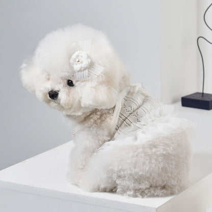 韓國新品上架【梨花娘】🐾BAILEY 🐶秋冬新品 針織拼接蕾絲氣質優雅花朵芭蕾舞裙寵物服飾(2色)