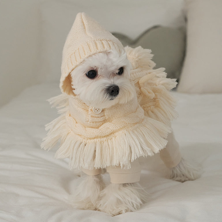 韓國【梨花娘】🐾BAILEY 🐶秋冬新品 針織毛線斗篷連帽蝴蝶結保暖寵物毛衣(2色)