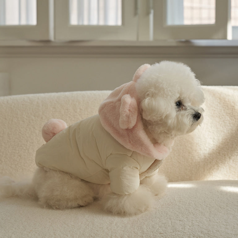 新品上架【梨花娘】🐾BAILEY 🐶秋冬新品 小熊連帽毛球防潑水鋪棉寵物外套(2色) 聖誕禮物