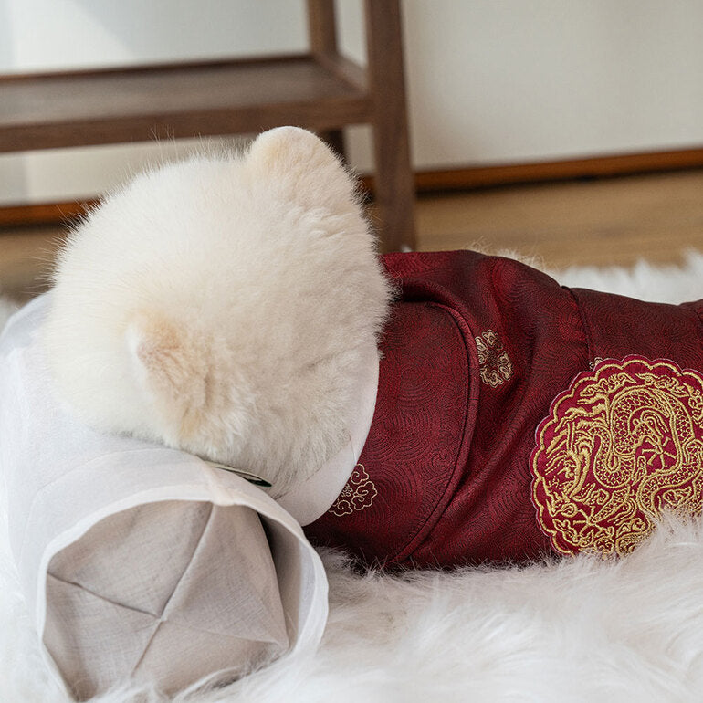 韓國新品上架【梨花娘】🐾BAILEY 🐶秋冬新品 尊貴刺繡皇室龍袍寵物韓服(2色)