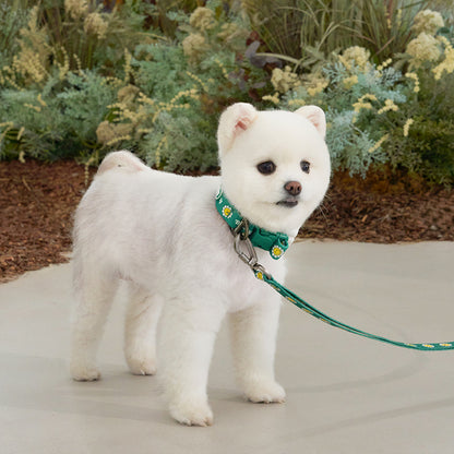 韓國新品上架【梨花娘】🐾BAILEY 🐶秋冬新品 飽合亮色花朵微笑簡易款寵物牽繩(4色)