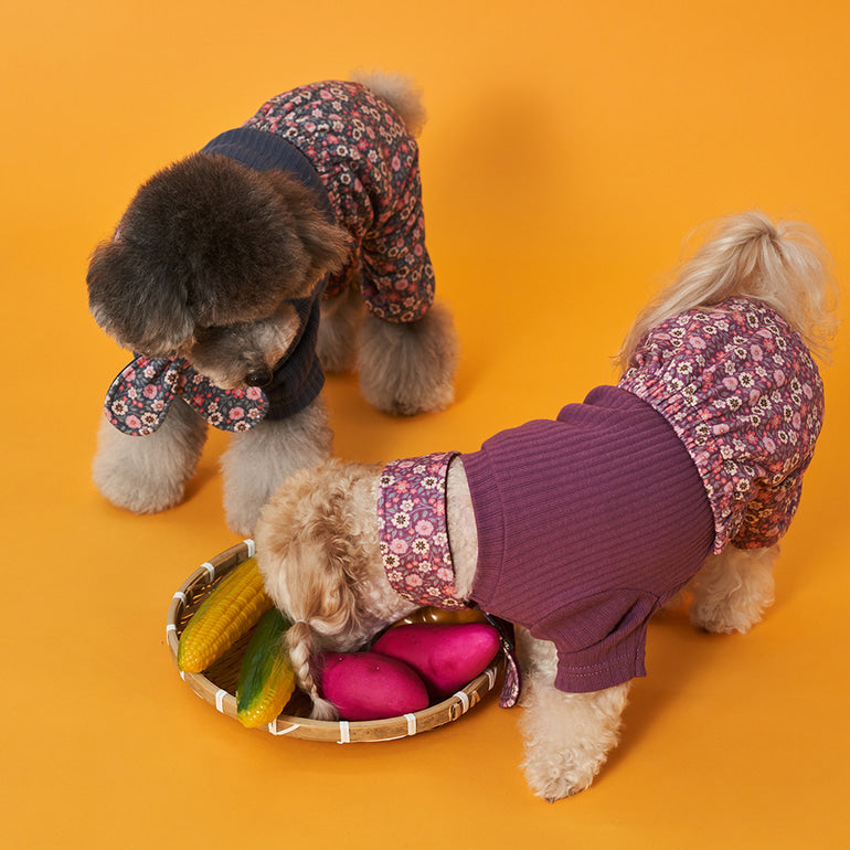 韓國新品上架【梨花娘】🐾BAILEY 🐶秋冬新品 復古花朵圖保暖舒適圍脖針織寵物毛衣(2色)