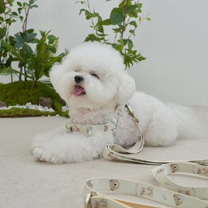 韓國新品上架【梨花娘】🐾BAILEY 🐶秋冬新品 馬卡龍柔軟色系小熊圖案寵物牽繩(3色)