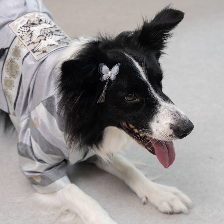 韓國新品上架【梨花娘】🐾BAILEY 🐶高質感韓服頭飾流蘇古典手工寵物髮夾(7色)