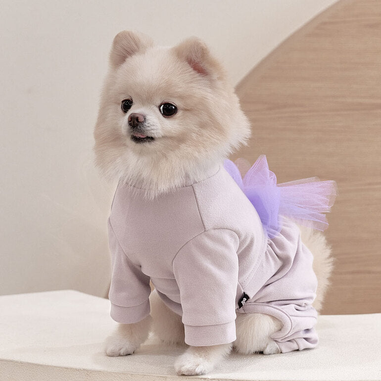 韓國新品上架【梨花娘】🐾BAILEY 🐶秋冬新品 素色半高領彈性舒適柔軟寵物服飾(2色)