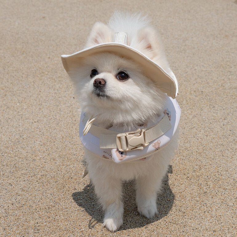 韓國新品上架【梨花娘】🐾BAILEY 🐶夏日馬卡龍色系高浮力清涼透氣寵物漂浮泳衣(3色)