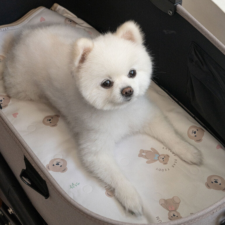 韓國BAILEY💖【梨花娘】夏日必備涼爽親膚降溫舒適防水滿版小熊寵物冰涼墊(3尺寸)