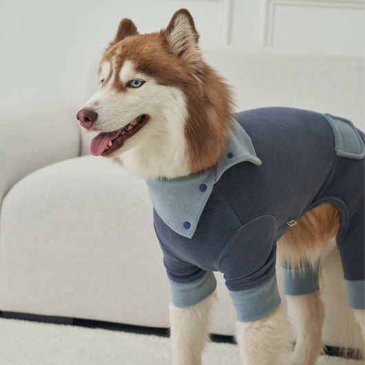 韓國新品上架【梨花娘】🐾BAILEY 🐶秋冬新品 領口釦環設計一件式保暖細絨毛衣(3色)