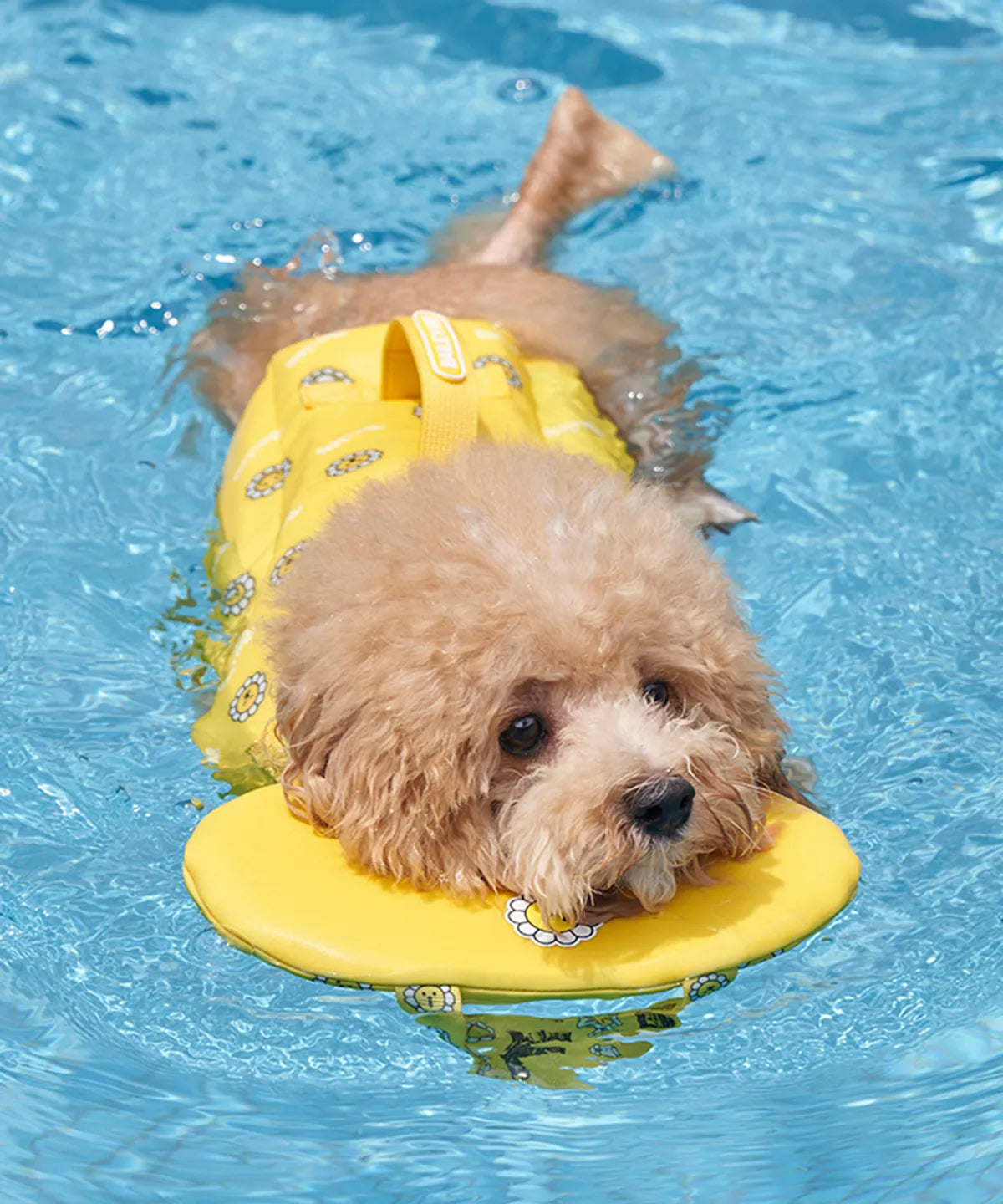 韓國新品上架【梨花娘總代理】🐾BAILEY 🐶夏日高浮力清涼透氣笑臉花朵寵物救生漂浮泳衣(4色)