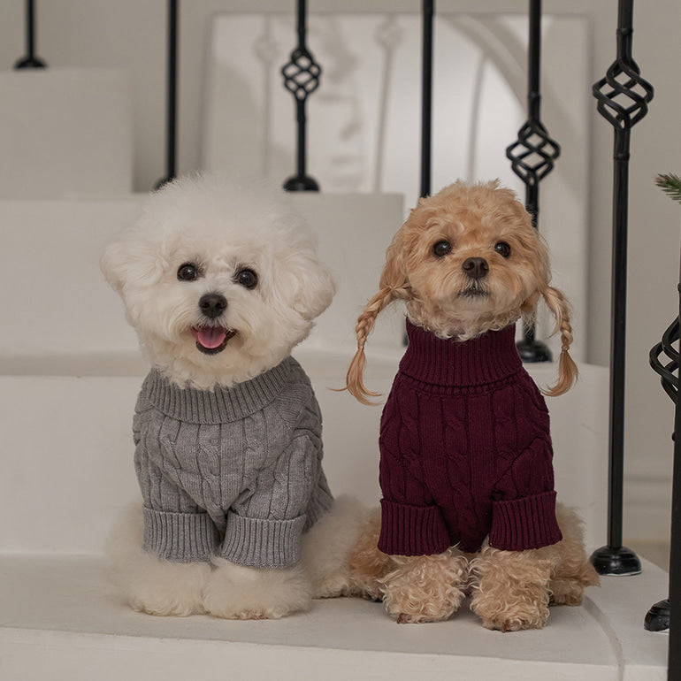 韓國新品上架【梨花娘】🐾BAILEY 🐶秋冬新品 小熊刺繡保暖舒適針織寵物毛衣(5色)