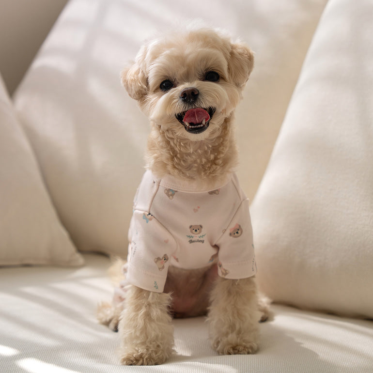 韓國新品上架【梨花娘】🐾BAILEY 🐶新品 滿版小熊圖案舒適透氣寵物連身衣(3色)